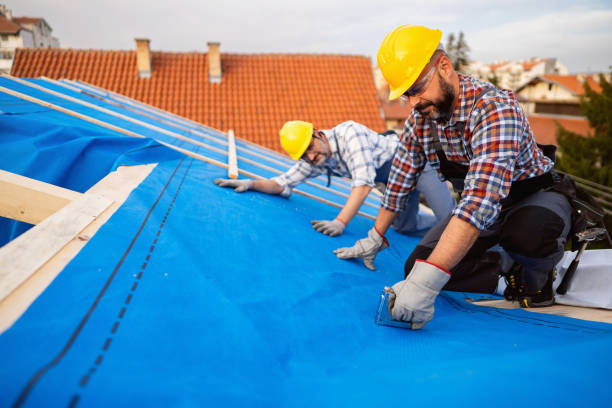 Best Flat Roof Repair Services  in Blue Ash, OH