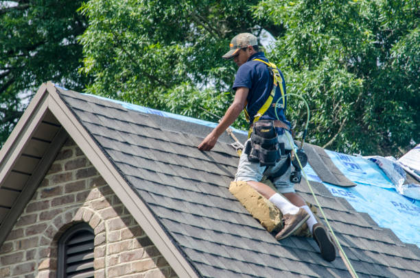 Best Local Roofing Companies  in Blue Ash, OH